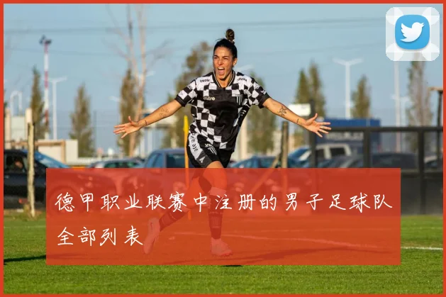 德甲职业联赛中注册的男子足球队全部列表