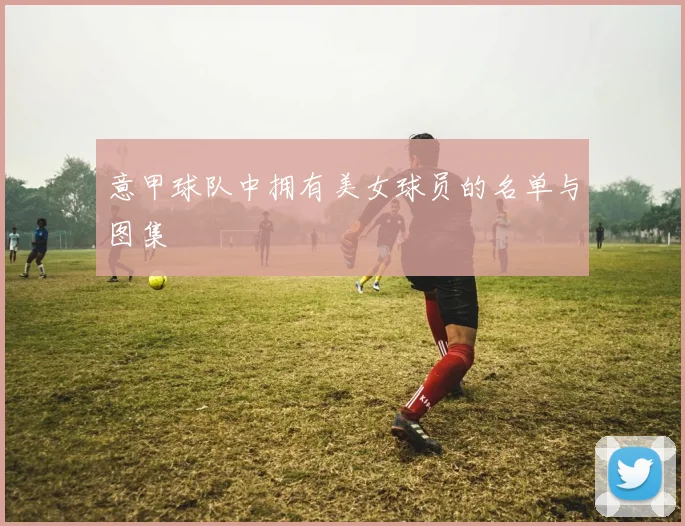 意甲球队中拥有美女球员的名单与图集