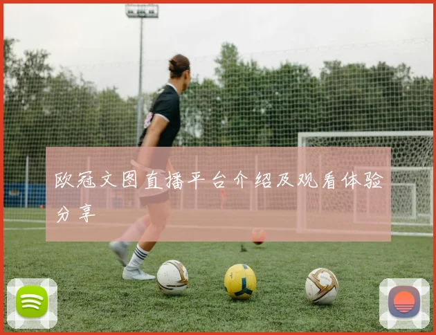 欧冠文图直播平台介绍及观看体验分享