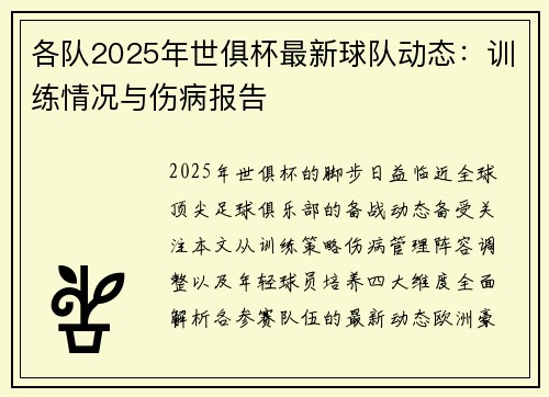各队2025年世俱杯最新球队动态：训练情况与伤病报告